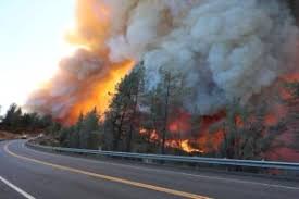 supports U.S. Forest Service initiatives improving