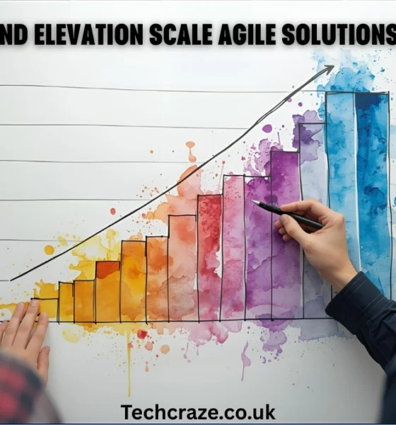 Brand Elevation Scale Agile Solutions