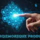 winqizmorzqux product