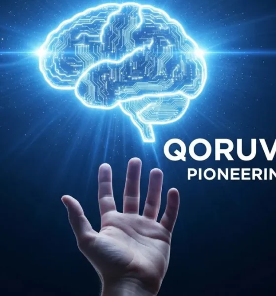 qoruv.com pioneering firm