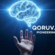 qoruv.com pioneering firm